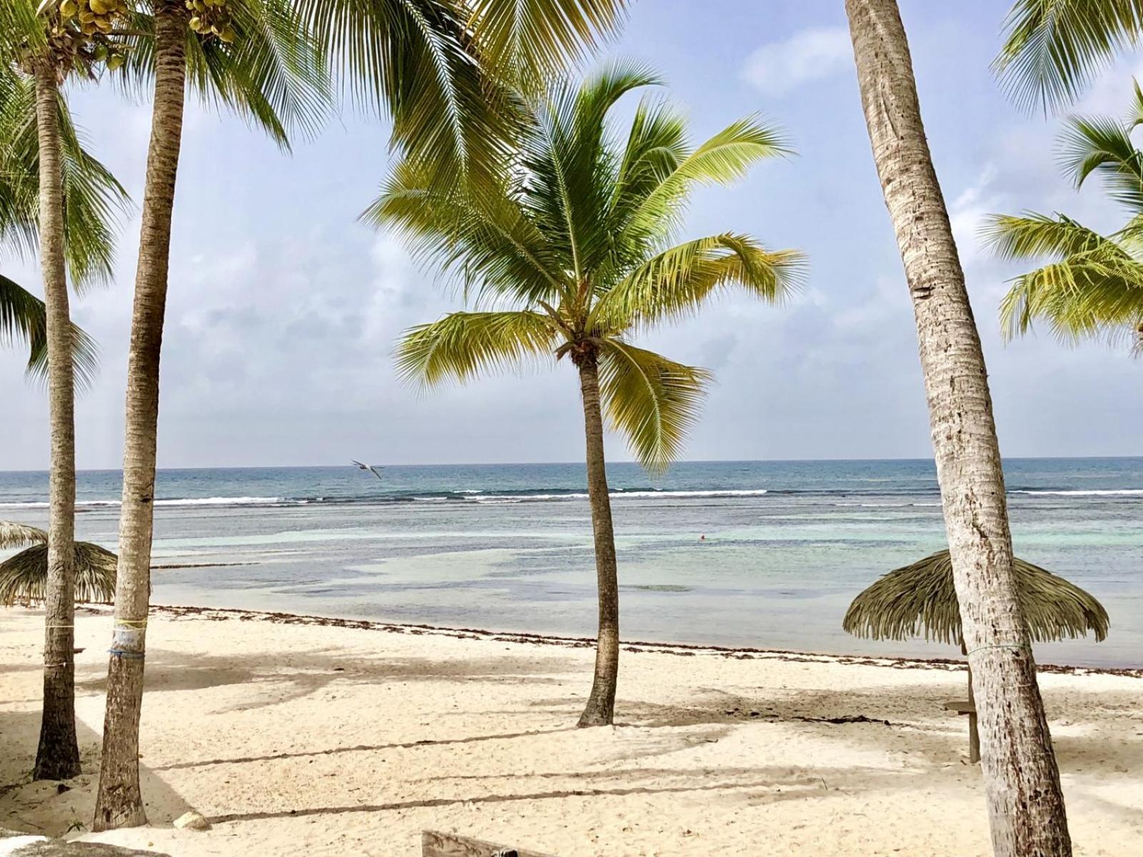 Saint-François, Anse des Rochers, Magnolias do Brasil Extérieur photo
